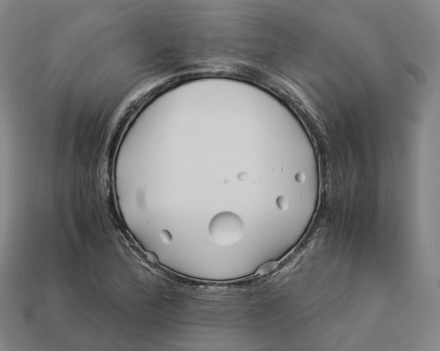 X0000113091172200909251004