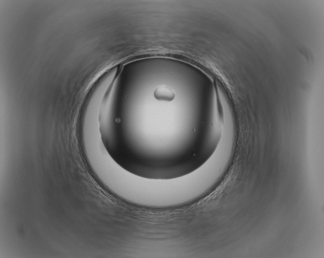 X0000113091173200909251004