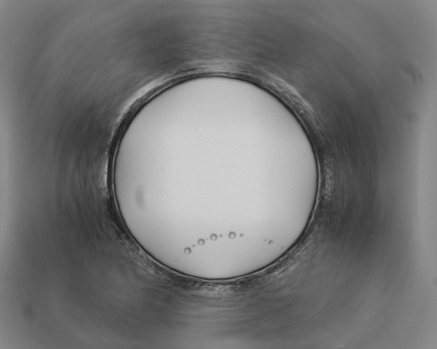 X0000113091174200909251004