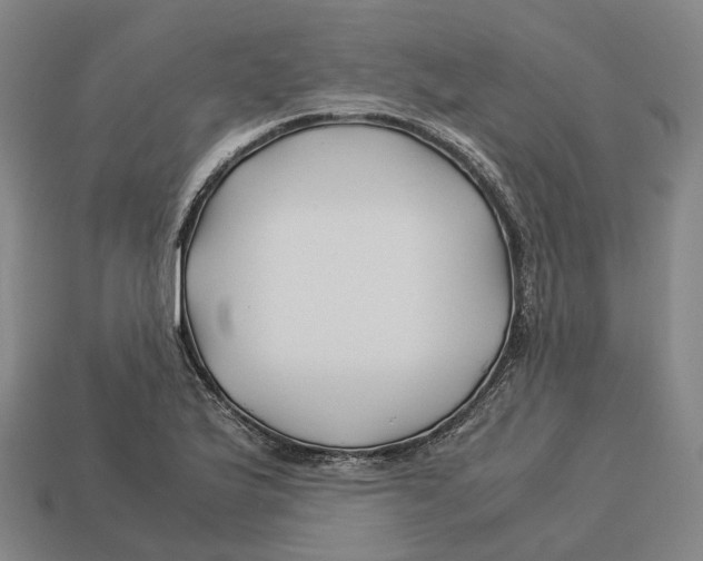 X0000113091175200909251004