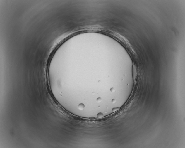 X0000113091176200909251004