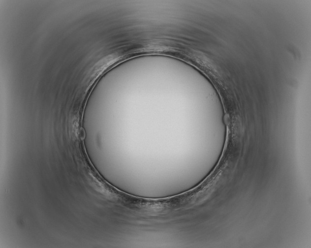 X0000113091177200909251004