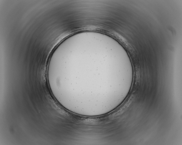 X0000113091178200909251004