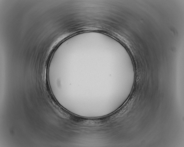 X0000113091179200909251004