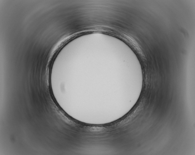 X0000113091180200909251004