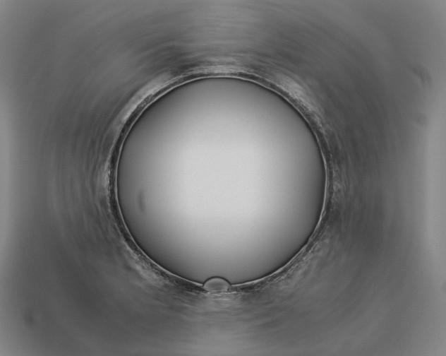 X0000113091181200909251004