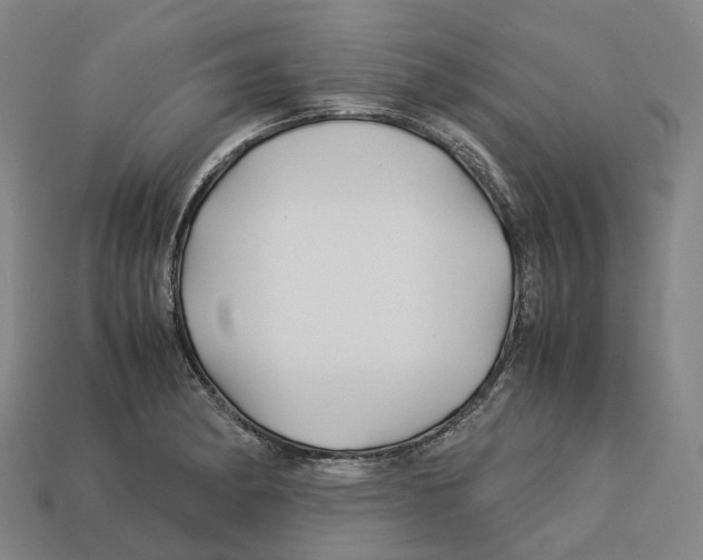 X0000113091182200909251004