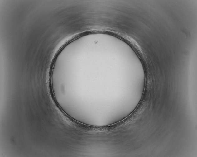 X0000113091183200909251004