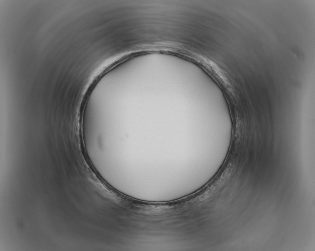 X0000113091184200909251004