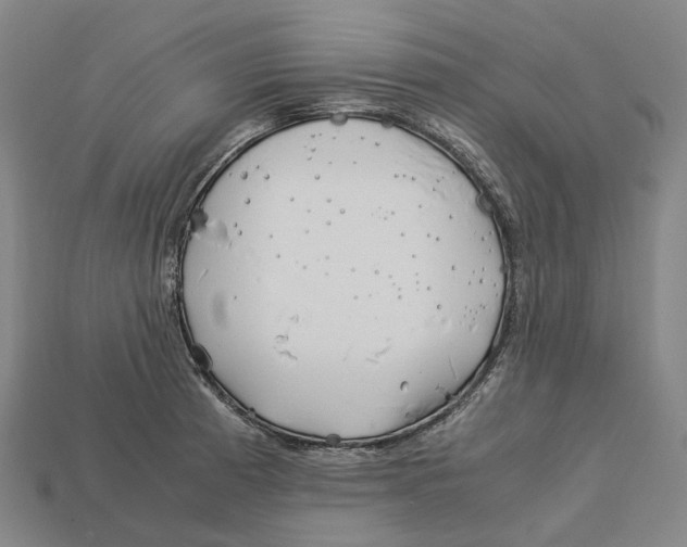 X0000113091185200909251004