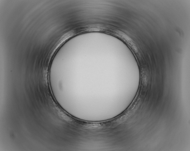 X0000113091186200909251004