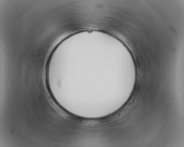 X0000113091187200909251004