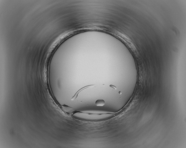 X0000113091188200909251004