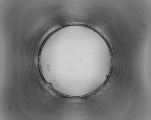 X0000113091189200909251004