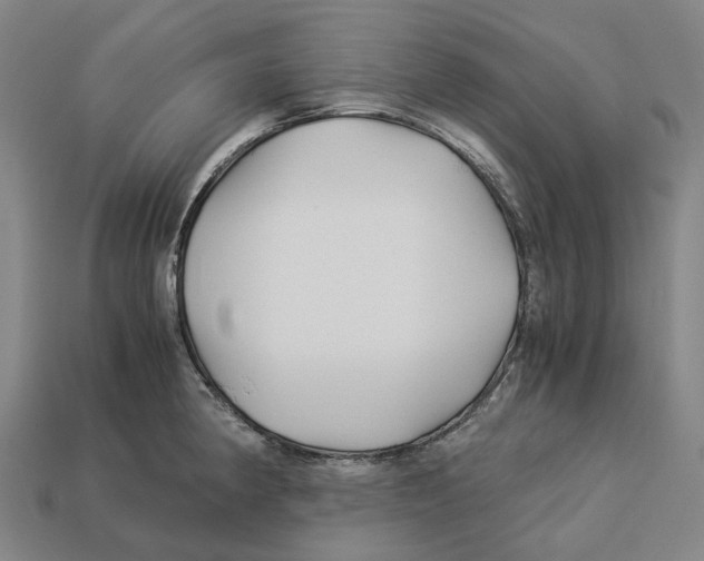 X0000113091190200909251004