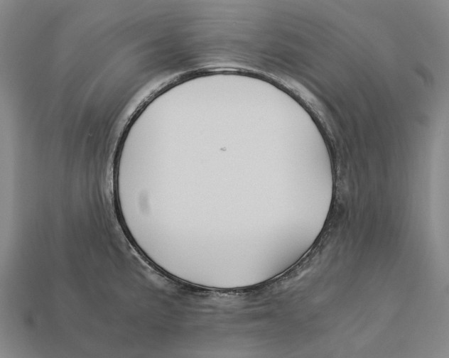 X0000113091191200909251004