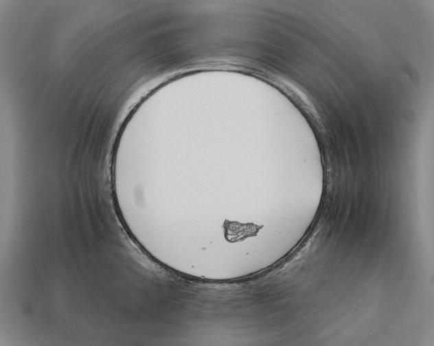 X0000113091192200909251004