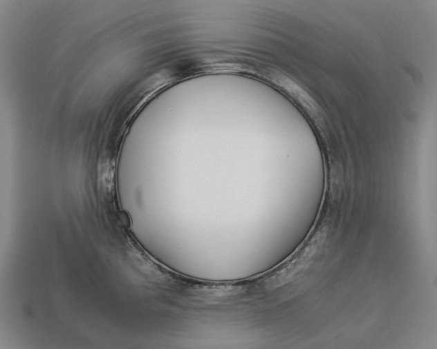 X0000113091193200909251004