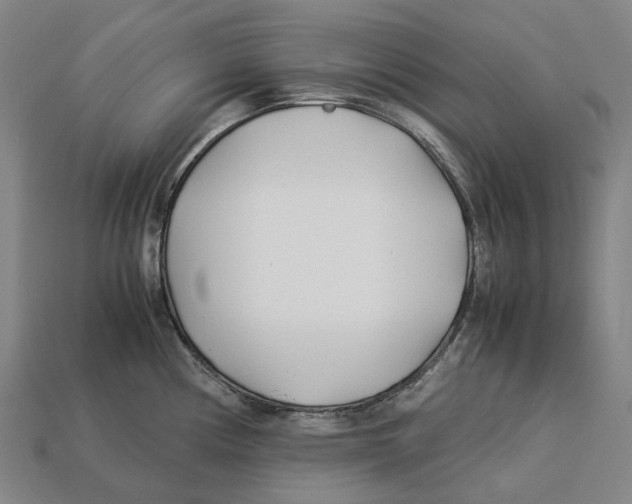 X0000113091194200909251004