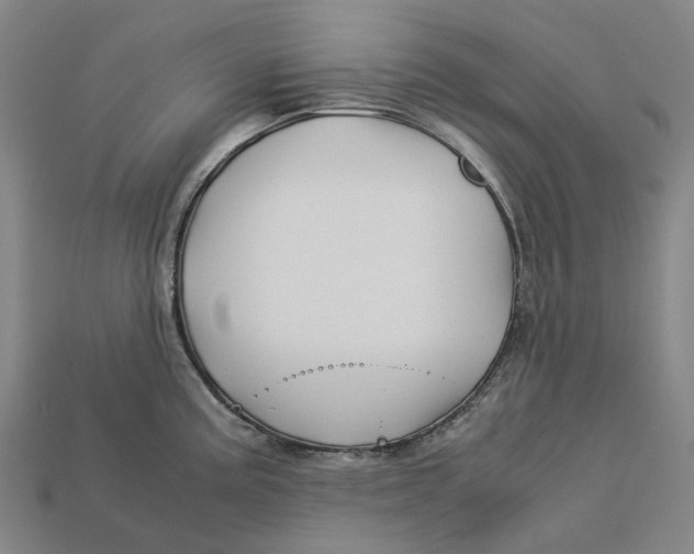 X0000113091195200909251004