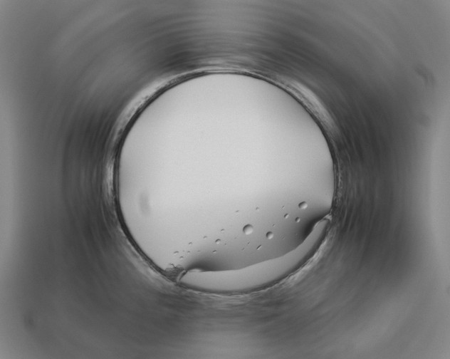 X0000113091196200909251004