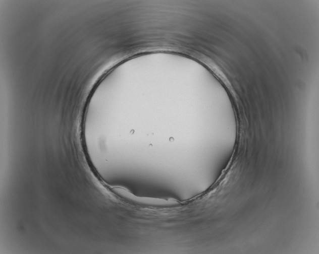 X0000113091197200909251004