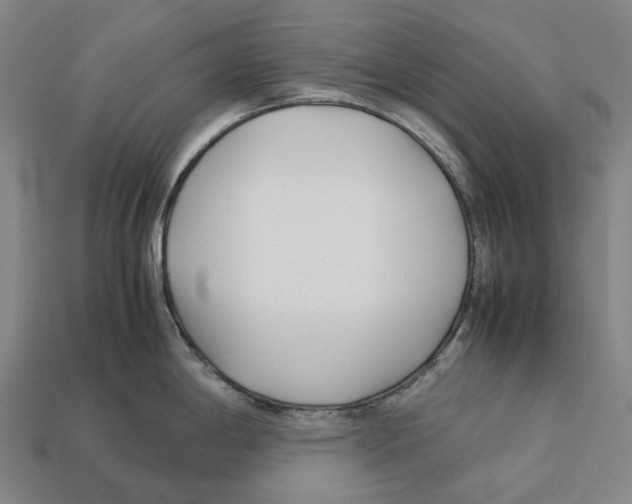 X0000113091198200909251004