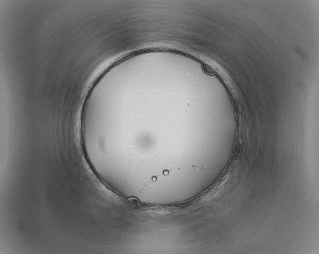 X0000113091199200909251004