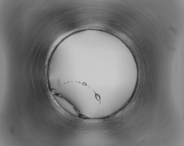 X0000113091200200909251004