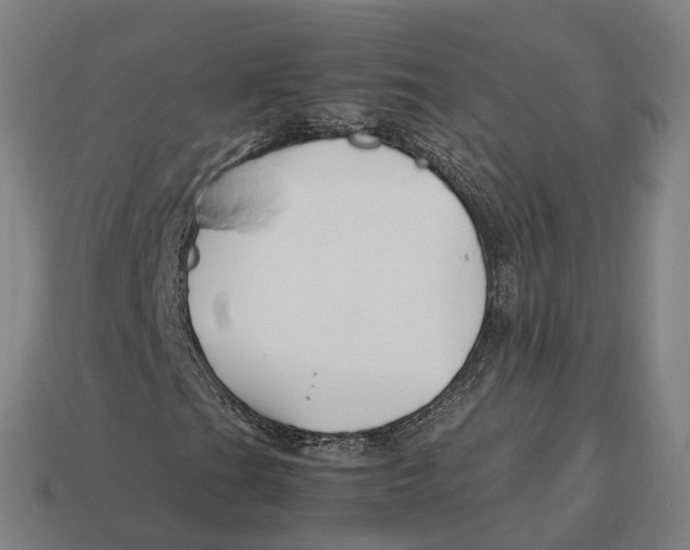 X0000113091201200909251003