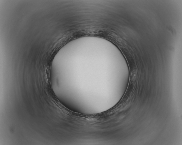 X0000113091202200909251003