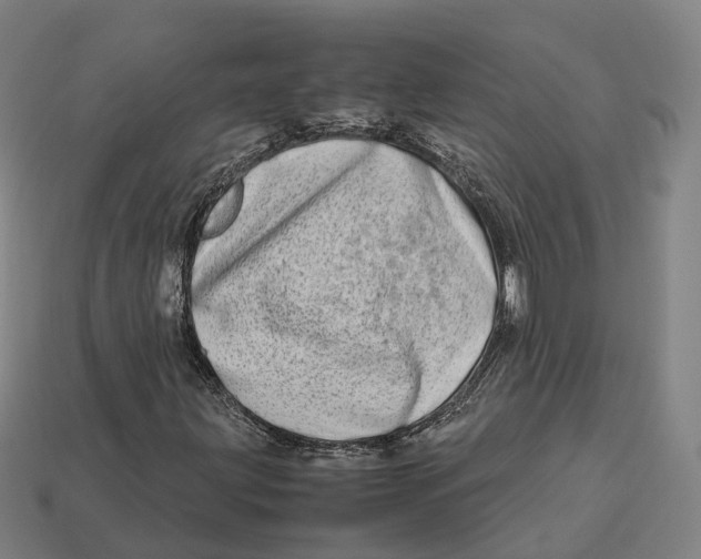 X0000113091203200909251003