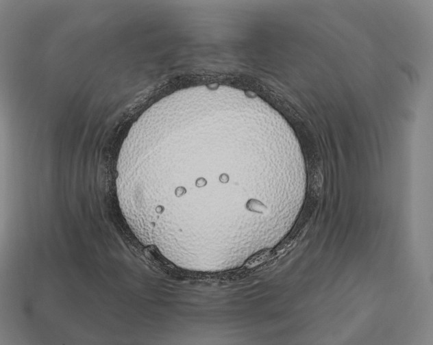 X0000113091204200909251003