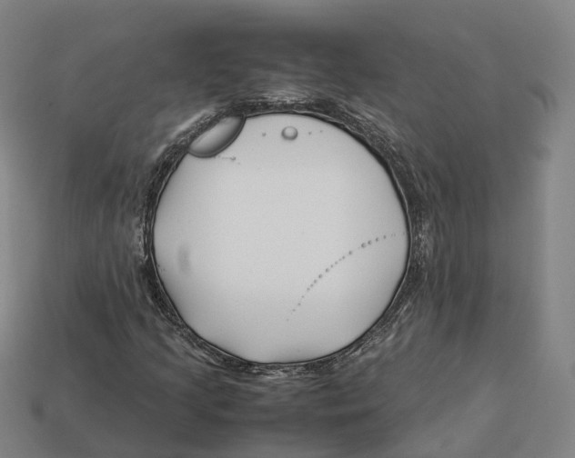 X0000113091205200909251003