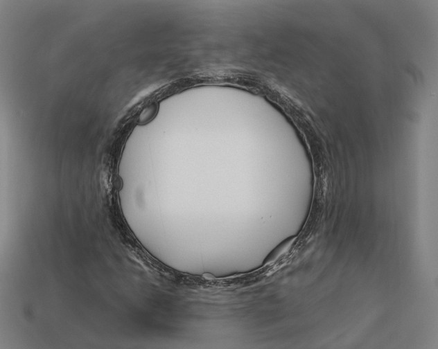 X0000113091206200909251003