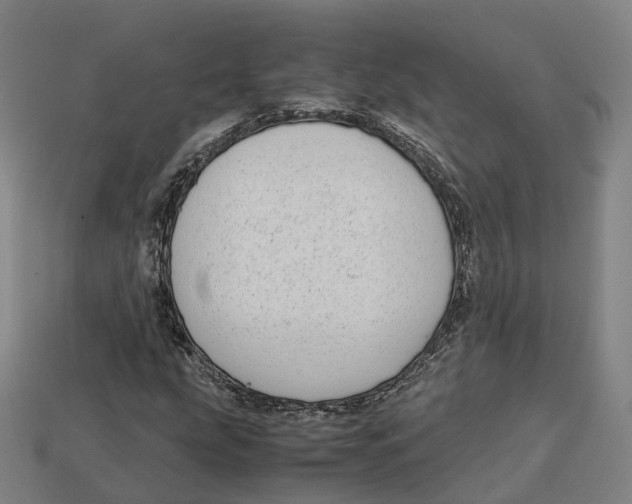 X0000113091207200909251003