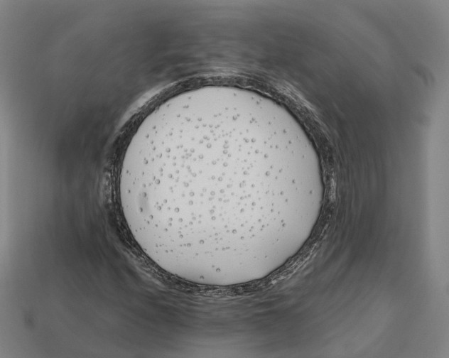 X0000113091208200909251003