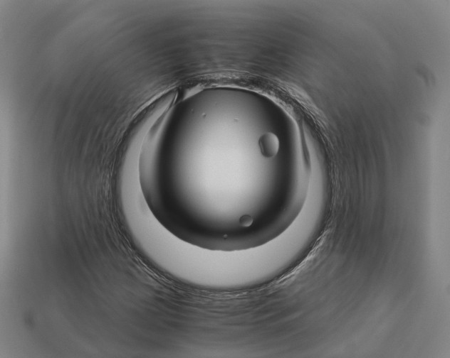 X0000113091209200909251003