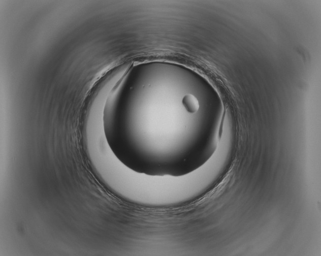 X0000113091210200909251003