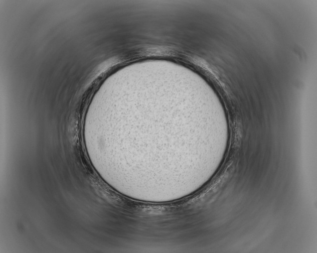 X0000113091211200909251003