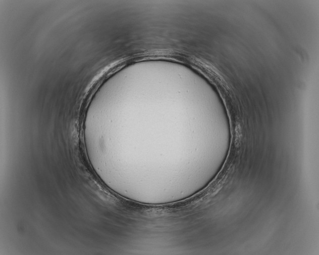 X0000113091212200909251003