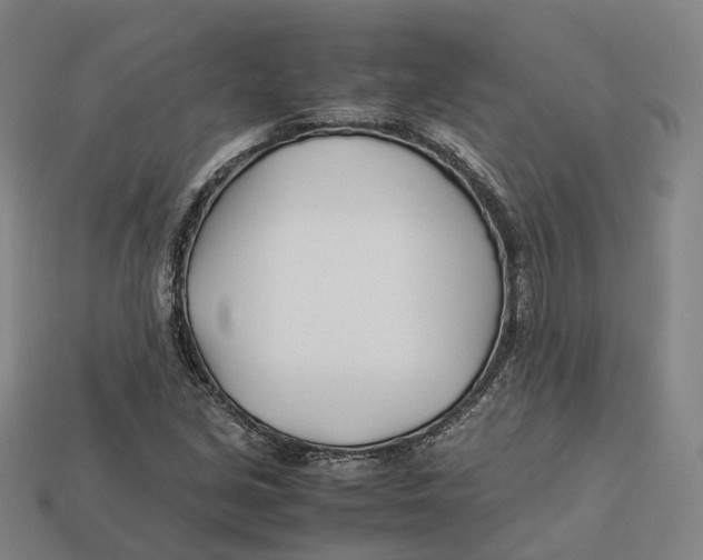 X0000113091213200909251003