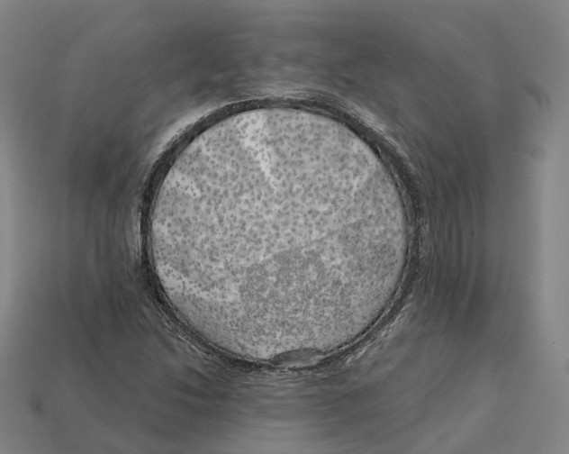 X0000113091214200909251003