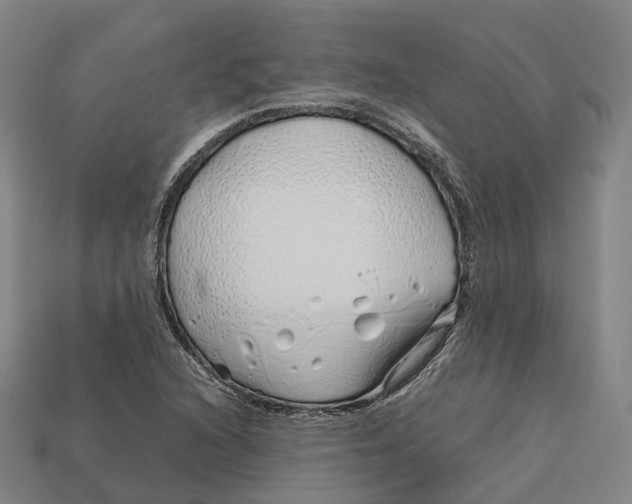 X0000113091216200909251003