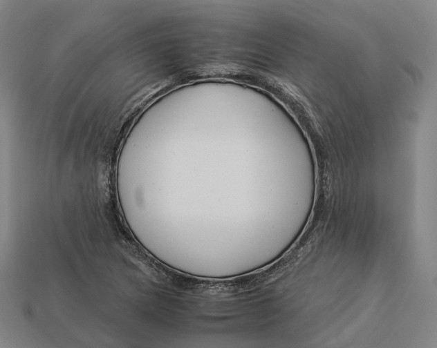 X0000113091217200909251003