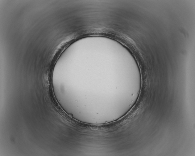 X0000113091218200909251003