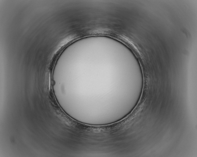 X0000113091219200909251003