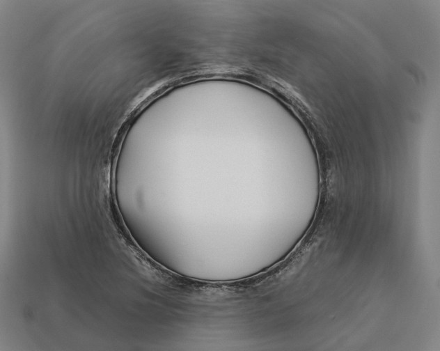 X0000113091220200909251003