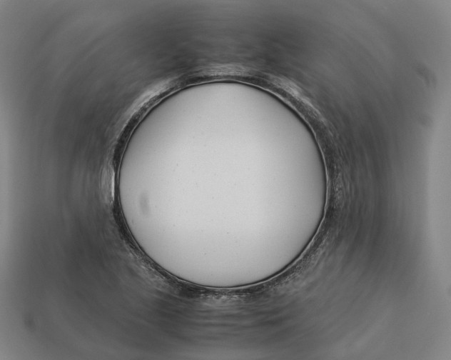 X0000113091221200909251003