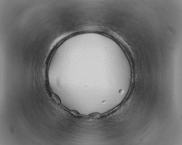 X0000113091222200909251003